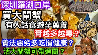 深圳羅湖口岸買蟹帶回港（精華版）｜活大閘蟹點解可過關不違法｜有人話口岸大閘蟹都是食避孕藥大｜越爆膏越有問題｜養法惡劣多吃損健康？｜傳言都是真的嗎 [upl. by Sutit]