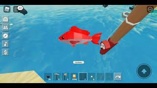 Play Islands Tour Of My Island Roblox Islands [upl. by Ytoc]