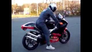 aprilia RS250 アプリリア 1312030035 t [upl. by Yeleen982]