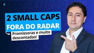 Duas Small Caps fora do radar que estão entregando bons resultados ações [upl. by Hayott]