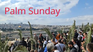 HAPPY PALM SUNDAY FROM JERUSALEM This is how Palm Sunday is celebrated in Jerusalem [upl. by Zackariah]