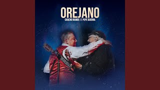 Orejano En Vivo [upl. by Cadmar]