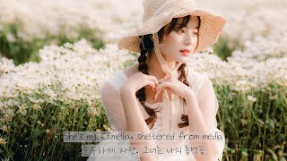 누구보다 그대를 사랑합니다 camellia  slchld  가사  해석  번역  lyrics [upl. by Tsai573]