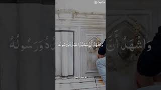 Masnoon Dua After Wazu Ablution  Easy amp Powerful Supplication senseislam theprophetspath [upl. by Garges833]