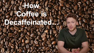 Coffee Decaffeination Explained [upl. by Akinhoj]