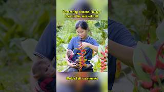 Harvesting Banana Flower Goes to the market sell gardeningandharvesting shorts [upl. by Gipson]