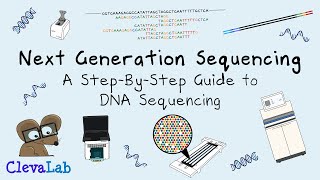 Next Generation Sequencing  A StepByStep Guide to DNA Sequencing [upl. by Ylloj]