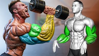 ARM DAY Biceps Triceps and Forearms Dumbbell Only [upl. by Nikolai]