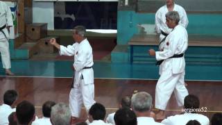 Stage di Karate SKII 2010Miura Senseipart 7 of 8 HD [upl. by Suirauqram113]