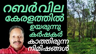 കേരളത്തിൽ റബർ വില കൂടി  Rubber price increased in Kerala [upl. by Enneiluj]