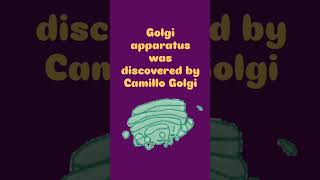 Golgi apparatus [upl. by Anitnauq]