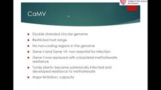 Plant viruses as vectors [upl. by Eatnuahs]