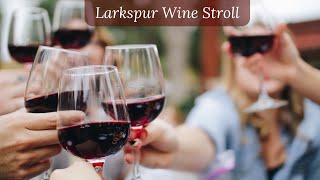 The Larkspur Wine Stroll [upl. by Apeed923]