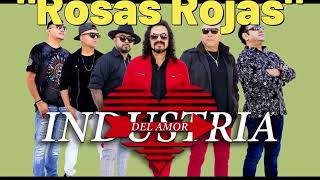 karaoke Rosas Rojas Industria del Amor  HD [upl. by Bram153]