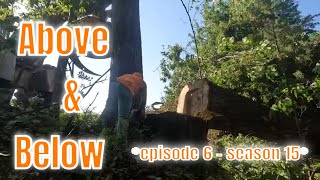 Above and Below  episode 6 of season 15  logging reality show [upl. by Misti]