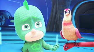 Corujita e os Corujitos e mais  PJ Masks em Português  Desenhos Animados [upl. by Averill787]