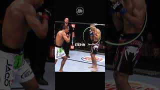 The Greatest Spinning Heel Kick ufc [upl. by Winifred]