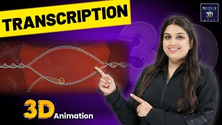 Transcription 3D Animation  Science in 3D [upl. by Nelie321]