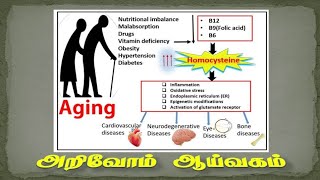 Homocysteine in Tamil [upl. by Amar]