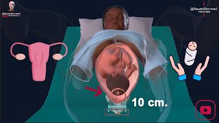 Vaginal Delivery  Labour amp Birth 👶🏻🤱🏻 [upl. by Bernj]