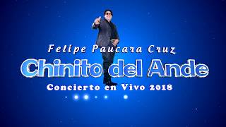 CHINITO DEL ANDE  Solo Solito Solo 2018  Concierto en Vivo Tacna [upl. by Len]