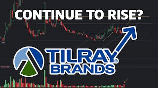 Continue to Rise  TLRY Stock Prediction TLRY Stock Analysis  Tilray Brands Q4 Earnings [upl. by Sterling]