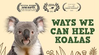 Koala Protection  Ways we can help koalas [upl. by Natsirhc480]