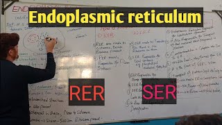 Endoplasmic reticulumDetail pashto lectures [upl. by Prentiss]