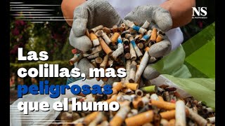 El cigarrillo un gran contaminante de fuentes hídricas [upl. by Angle]