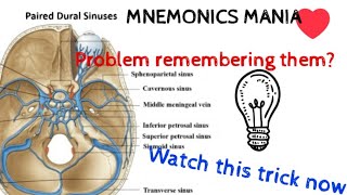 PAIRED DURAL VENOUS SINUSESSelf made mnemonics [upl. by Oderfodog]