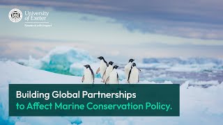 Building global partnerships to affect marine conservation policy [upl. by Llij]