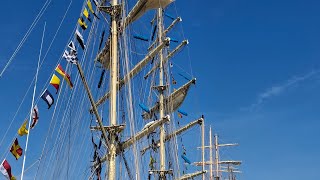 Tall Ship Race in Klaipėda 2024 [upl. by Scales]