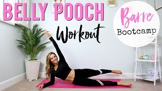 How to Lose BELLY POOCH  Lower Abs Barre Bootcamp [upl. by Ellette]