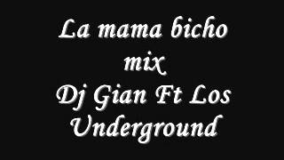 La Mama Bicho  Dj Gian Ft Los underground [upl. by Ranique795]