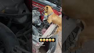 Car doctor automobile jugaad farming swarajtractor jugadu funny swaraj car [upl. by Majka813]