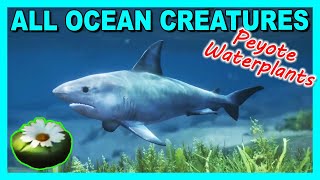 All Peyote Plants Ocean Creatures Peyote Plants Locations Map May 2024  GTA 5 Online [upl. by Tierney983]