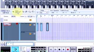 PROPELLERHEAD REASON how to automate a time signature change [upl. by Euqnom787]