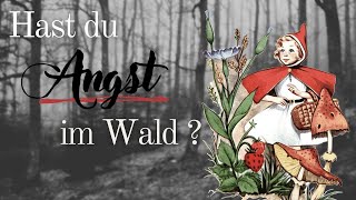 Der dunkle Wald Warum wir im Wald Angst haben [upl. by Lexerd]