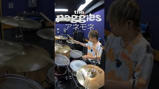 the peggiesの「アネモネ」を叩いてみた drumcover drums ドラム ドラム叩いてみた 邦ロック ペギーズ アルプススタンドのはしの方 [upl. by Upton]