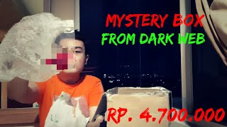 Beli Mystery Box From Dark Web  Deep Web WEIRD ISINYA ternyata    Indonesian ver [upl. by Nievelt]