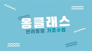 옹클래스2 2강 사료 성분표 [upl. by Angus]