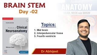 Neuroanatomy  Brain Stem For Mbbs 1st Proff By Dr Abhijeet [upl. by Nairod216]