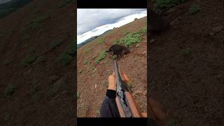 Охота на дикого кабана на очень близком расстоянии cinghiale chasse wildboar охота дикий кабан [upl. by Fermin314]