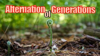 On Alternation of Generations [upl. by Adlare]