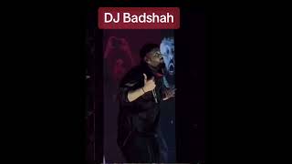 DJ Badshah Live Concert [upl. by Cynth603]