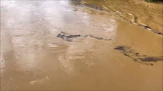 Hurricane Helene Flooded Yadkin River Elkin Jonesville North Carolina [upl. by Eerehs]