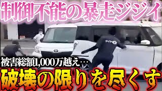 【ドラレコ】駐車場で暴走するジジイ！店員の抑制を無視し破壊の限りを尽くす【交通安全・危険予知】 [upl. by Doownel]