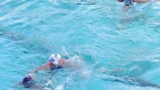 WK Boedapest Waterpolodames voorstellen  waterpolo [upl. by Warfourd599]