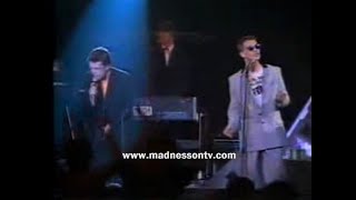 Madness  Baggy Trousers Live in Amsterdam 181080 [upl. by Nahaj]