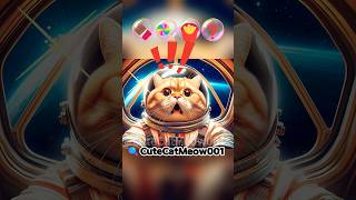 Cat’s Funny Food Quests 2  Space Donut🍩🛸cat cute catlover [upl. by Winchester]